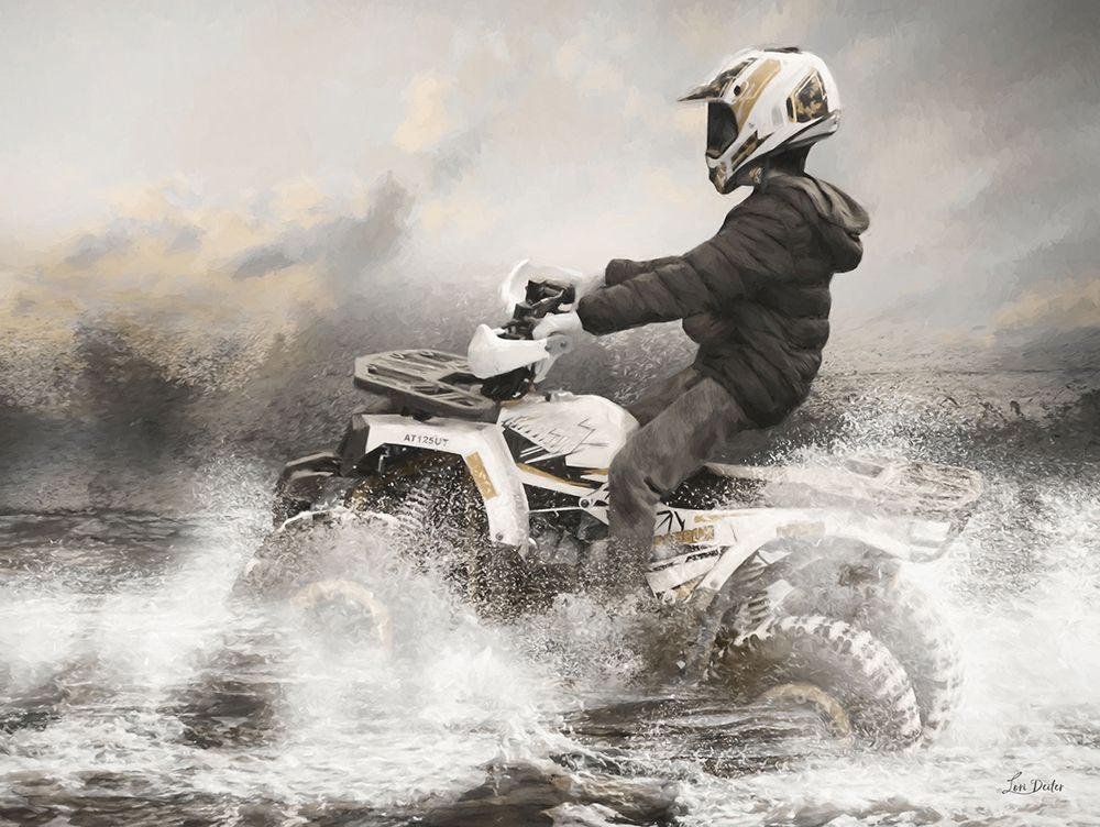 Splish Splash ATV II art print by Lori Deiter for $57.95 CAD