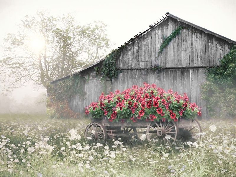 Old Country Barn art print by Lori Deiter for $57.95 CAD