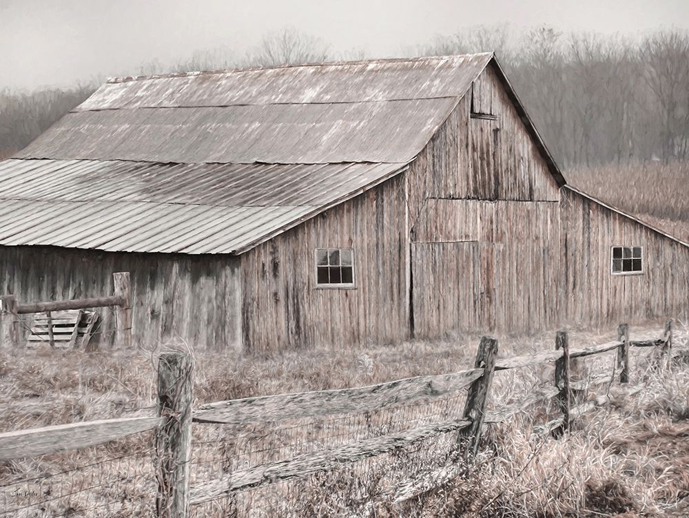 Weathered Gracefully art print by Lori Deiter for $57.95 CAD