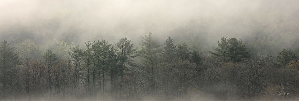 Misty Morning Trees art print by Lori Deiter for $57.95 CAD