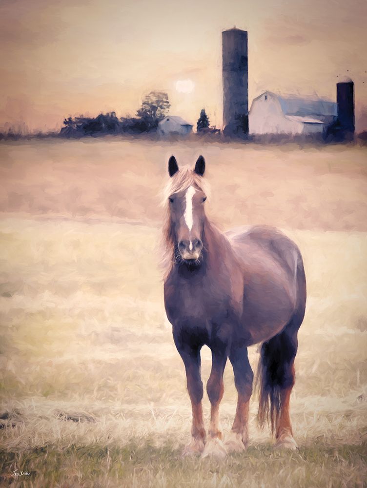 Horse Farm Sunset art print by Lori Deiter for $57.95 CAD