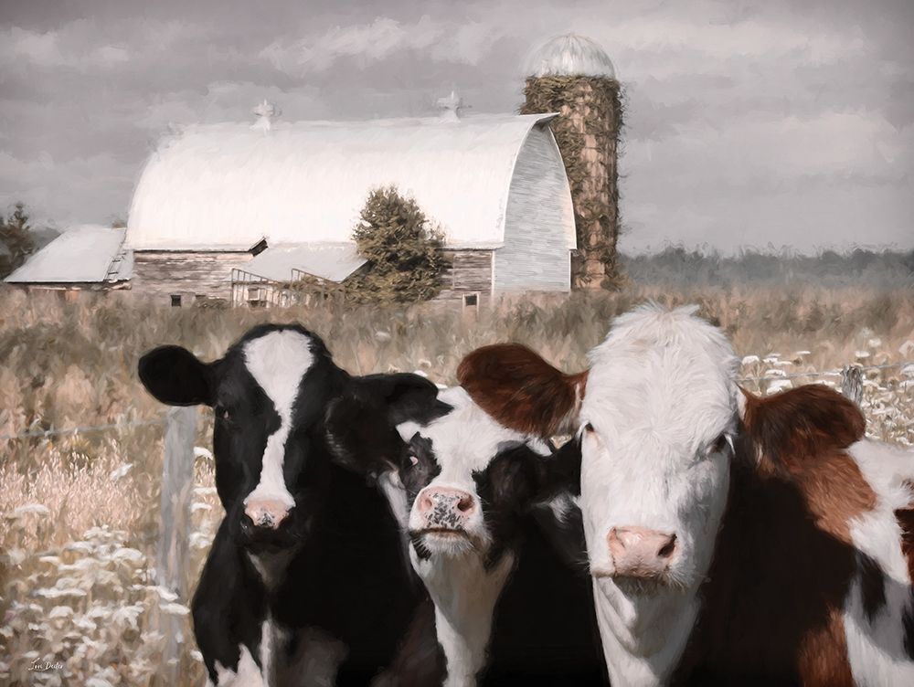 Bovine Trio art print by Lori Deiter for $57.95 CAD