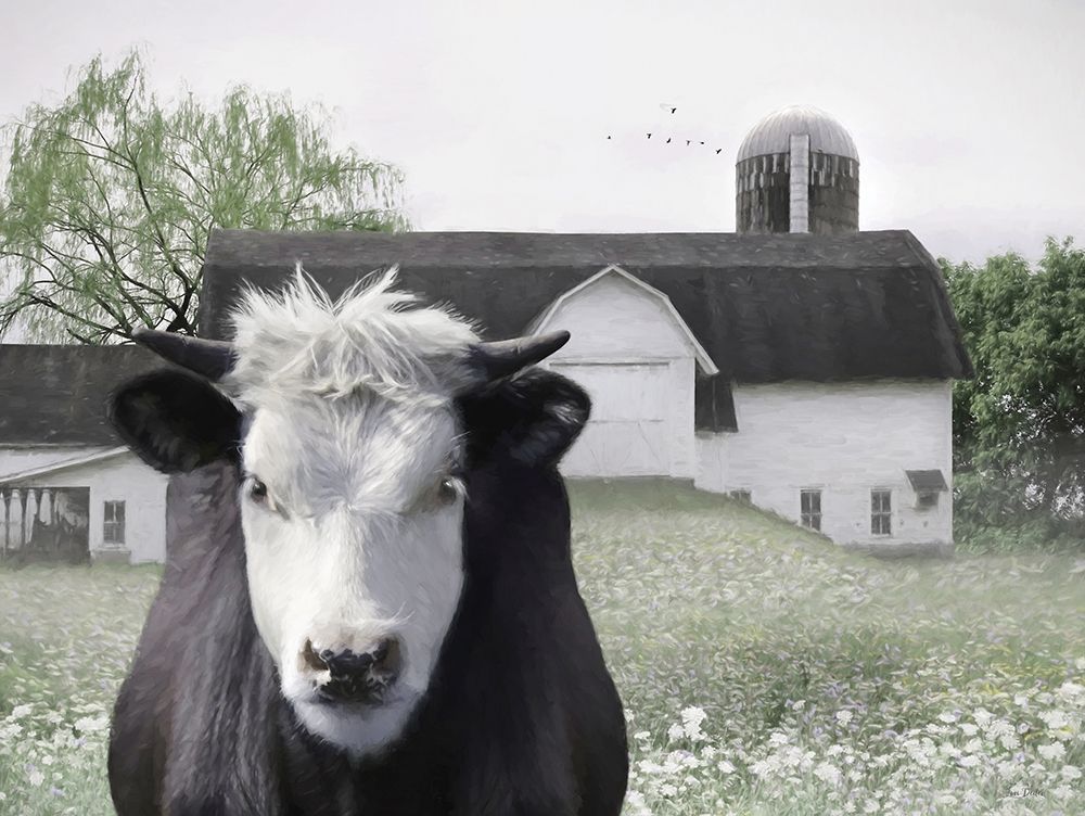 The Beauty of Black and White art print by Lori Deiter for $57.95 CAD