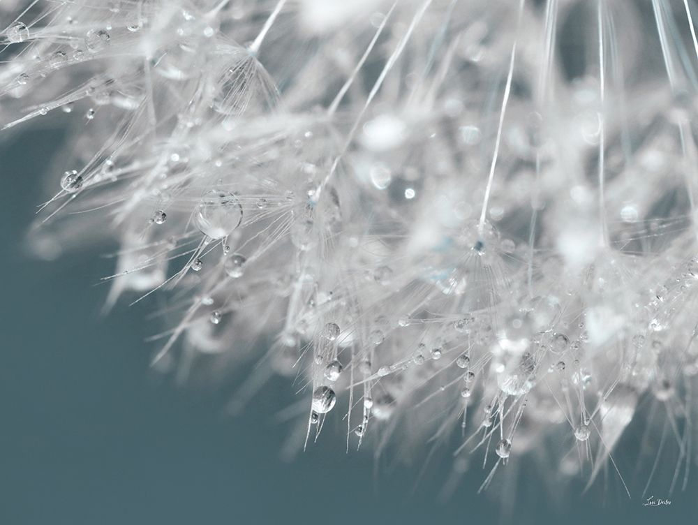 Droplet in Time II art print by Lori Deiter for $57.95 CAD