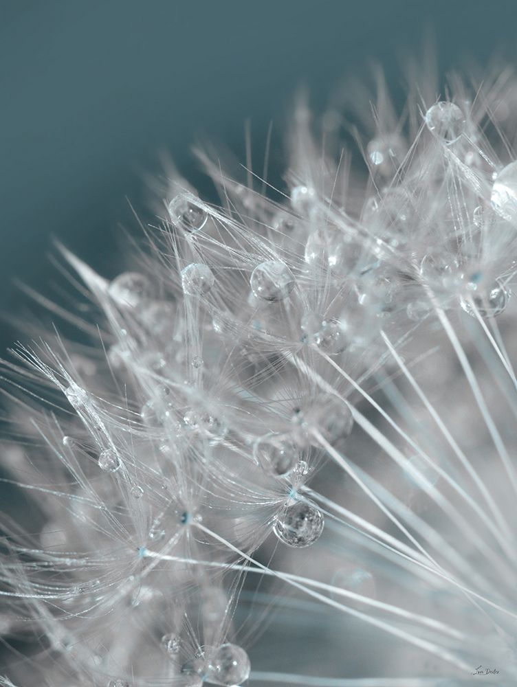 Droplet in Time III art print by Lori Deiter for $57.95 CAD
