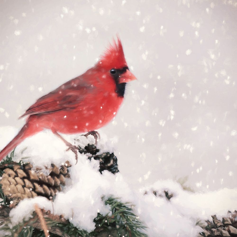 Winter Cardinal II art print by Lori Deiter for $57.95 CAD