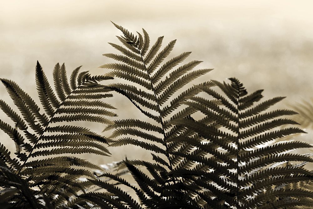 Golden Ferns I art print by Lori Deiter for $57.95 CAD