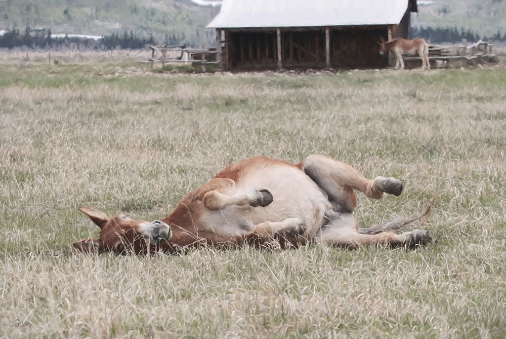 After Dinner Nap art print by Lori Deiter for $57.95 CAD