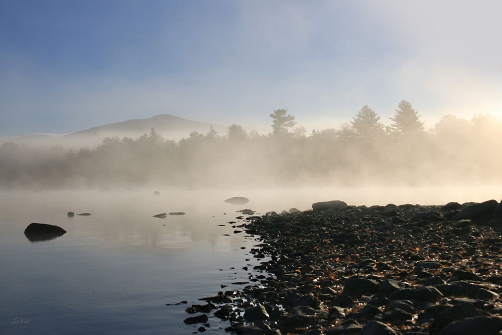 Lakeshore Misty Morning art print by Lori Deiter for $57.95 CAD