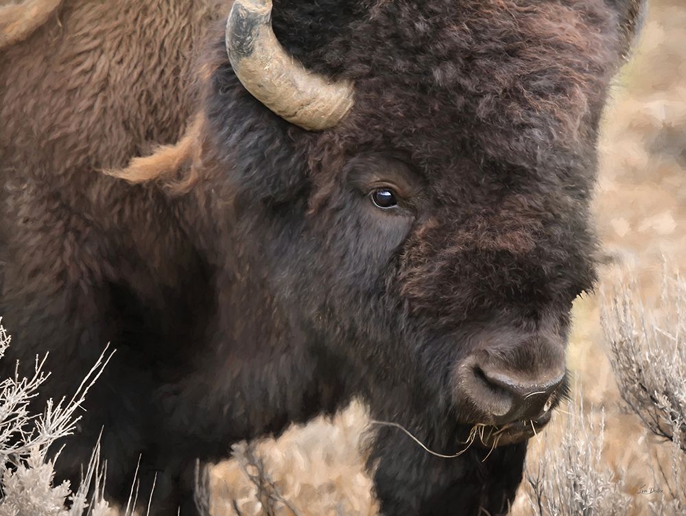 Spirit of the Plains art print by Lori Deiter for $57.95 CAD