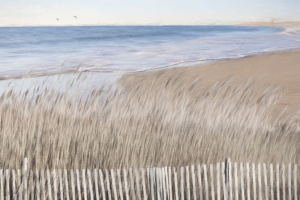 Beyond the Beach Fence art print by Lori Deiter for $57.95 CAD