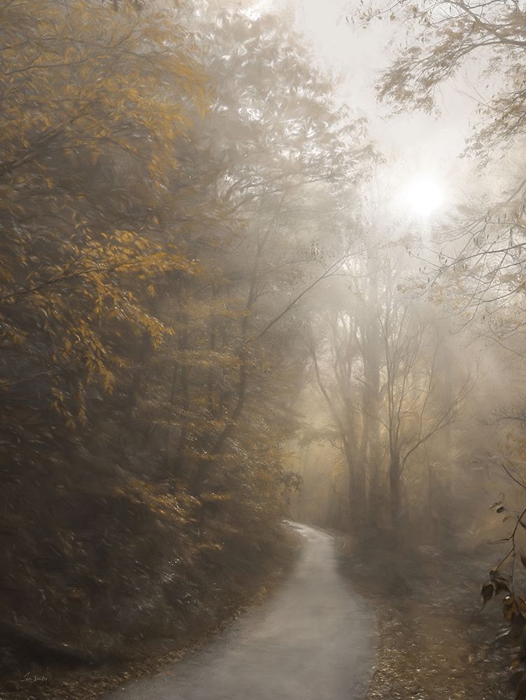 Foggy Forest Path art print by Lori Deiter for $57.95 CAD