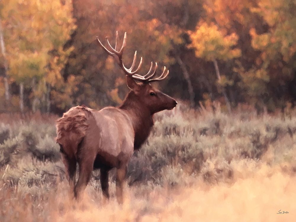 Elks Golden Antler art print by Lori Deiter for $57.95 CAD
