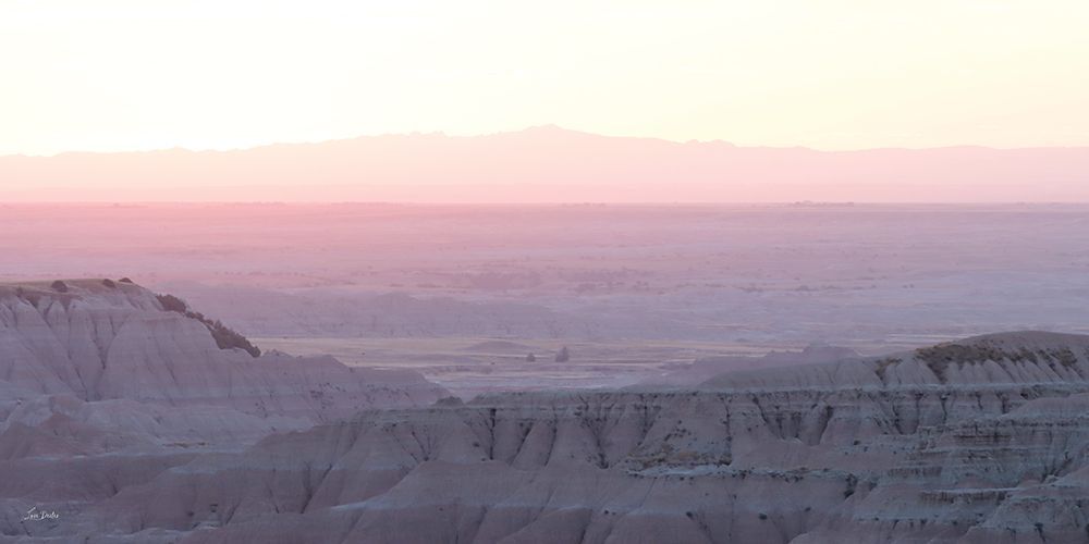 Desert Blush art print by Lori Deiter for $57.95 CAD