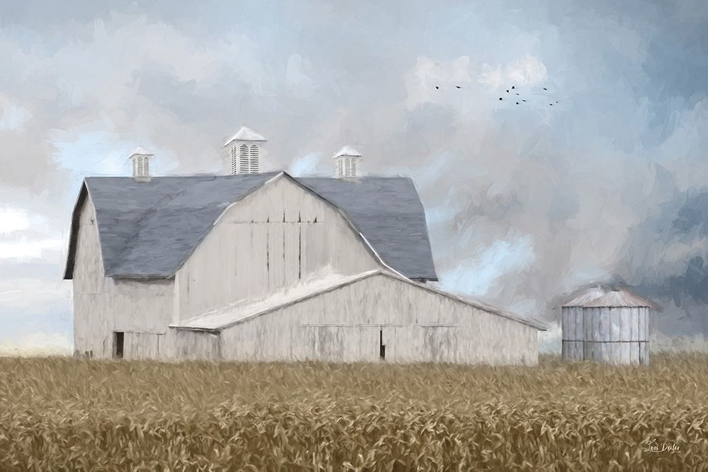 Morning Glory art print by Lori Deiter for $57.95 CAD