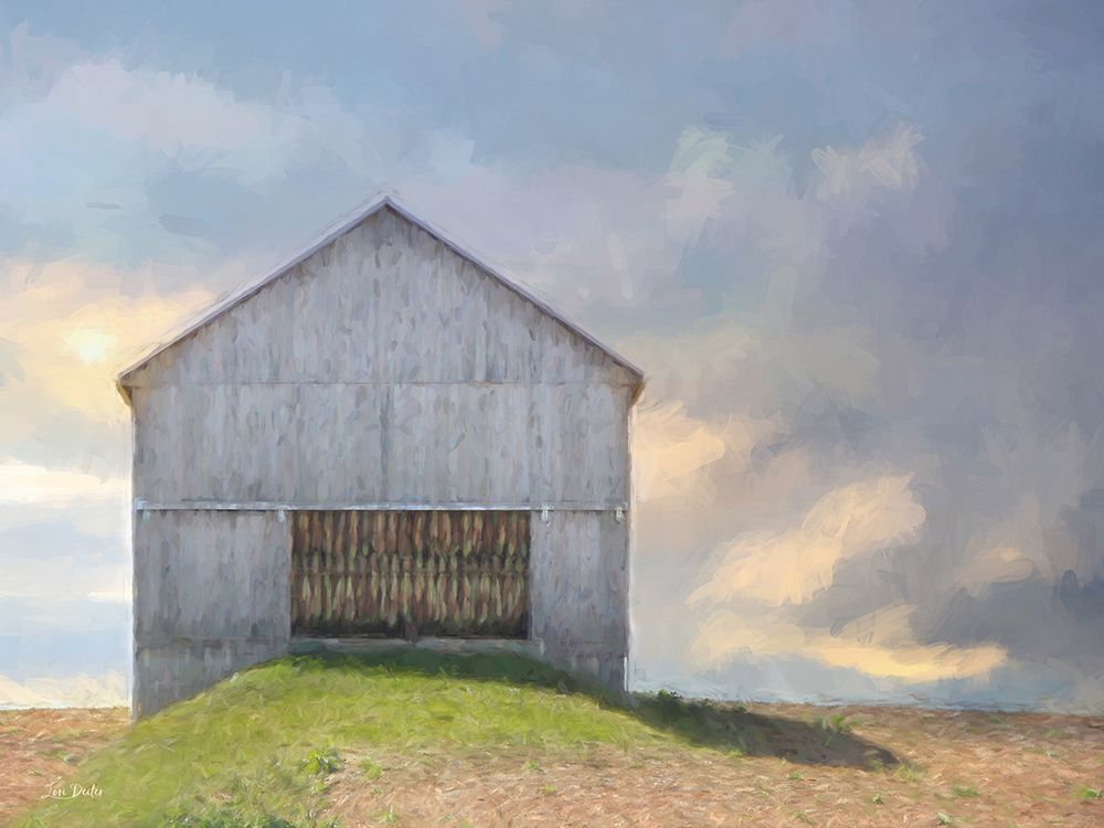 Lone Barn with Tobacco art print by Lori Deiter for $57.95 CAD