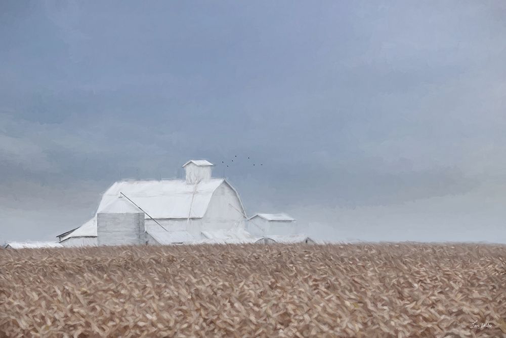 Silent Fields art print by Lori Deiter for $57.95 CAD