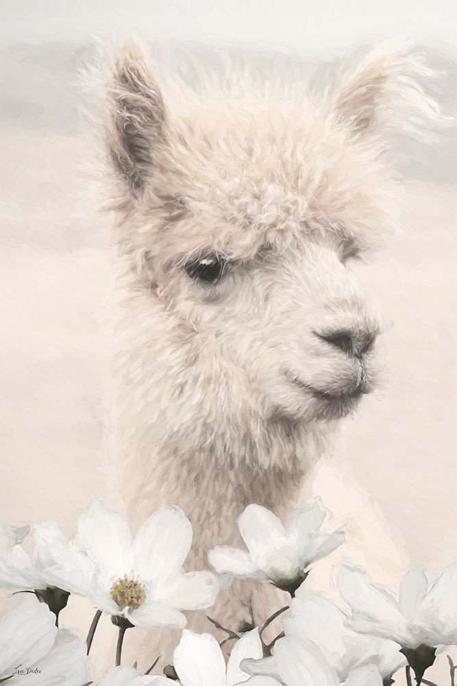 Floral Alpaca I art print by Lori Deiter for $57.95 CAD