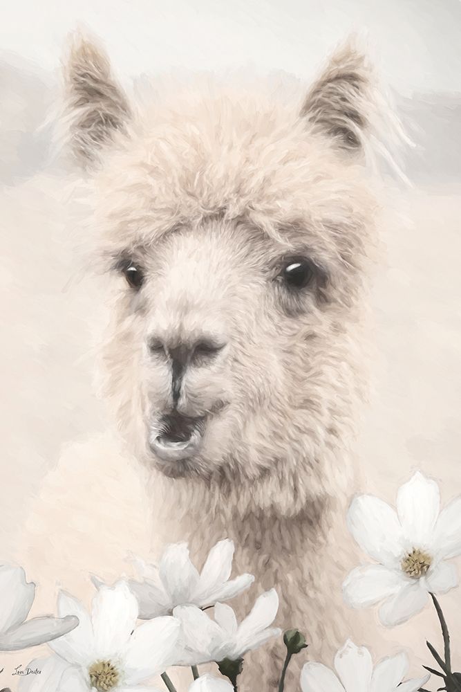 Floral Alpaca II art print by Lori Deiter for $57.95 CAD