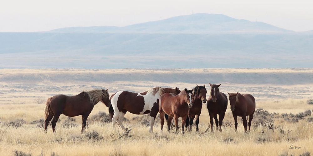 The Wild Bunch art print by Lori Deiter for $57.95 CAD