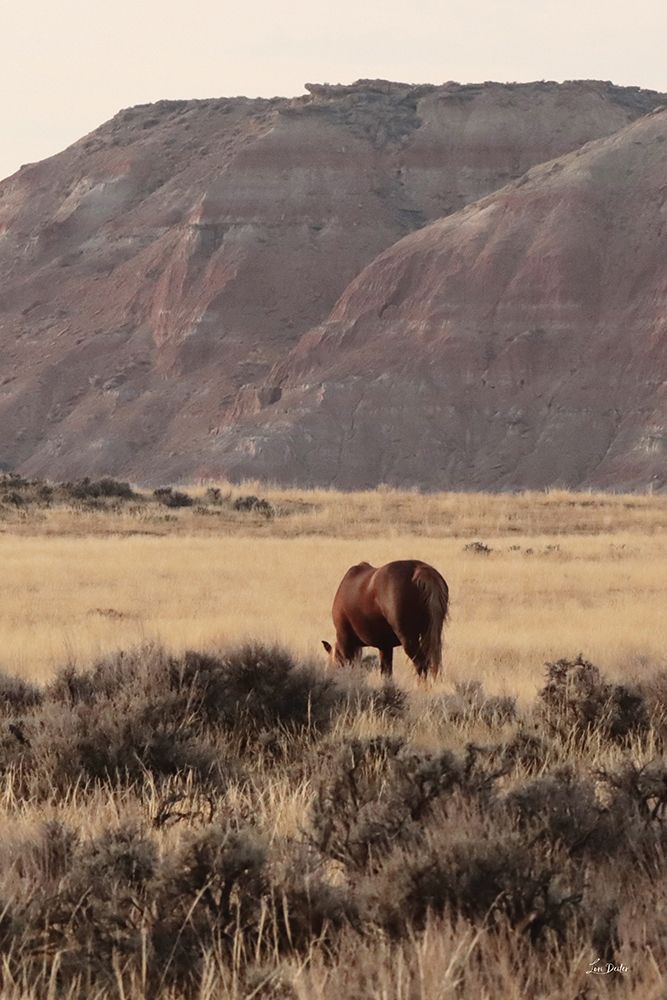 Majesty of the Wild III art print by Lori Deiter for $57.95 CAD