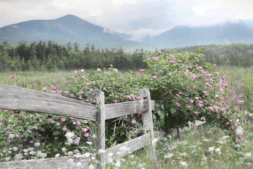 Forgotten Blooms art print by Lori Deiter for $57.95 CAD