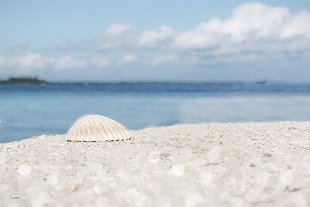 Sanibel Seashell art print by Lori Deiter for $57.95 CAD
