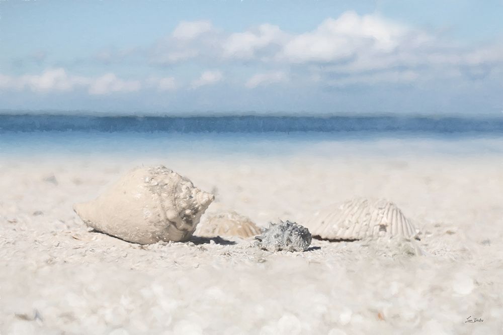 Sanibel Seashells art print by Lori Deiter for $57.95 CAD