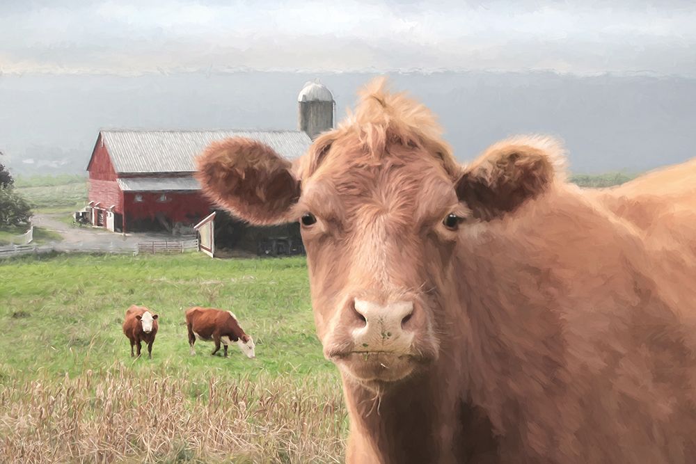 Nosey Cow art print by Lori Deiter for $57.95 CAD