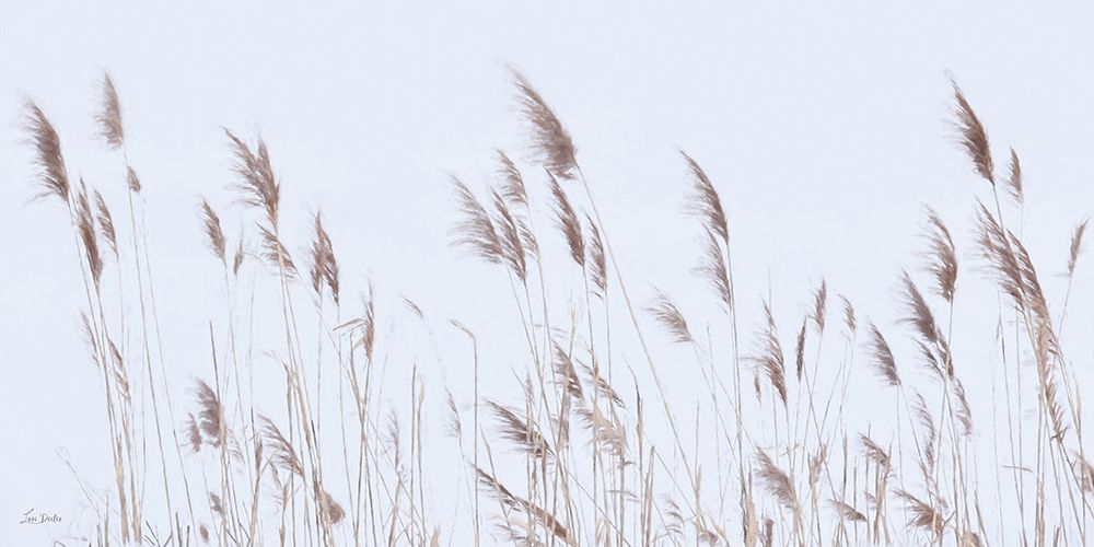 Reeds in the Wind art print by Lori Deiter for $57.95 CAD