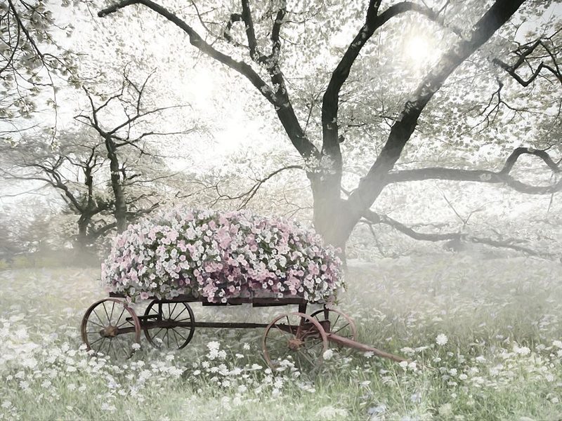 Garden on Wheels art print by Lori Deiter for $57.95 CAD