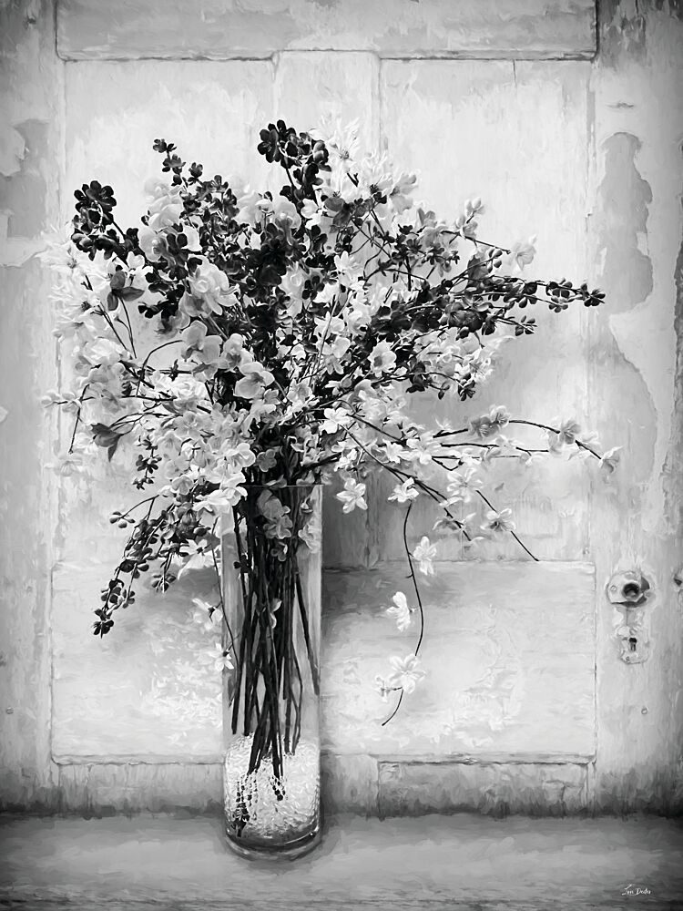 Black and White Beauty art print by Lori Deiter for $57.95 CAD