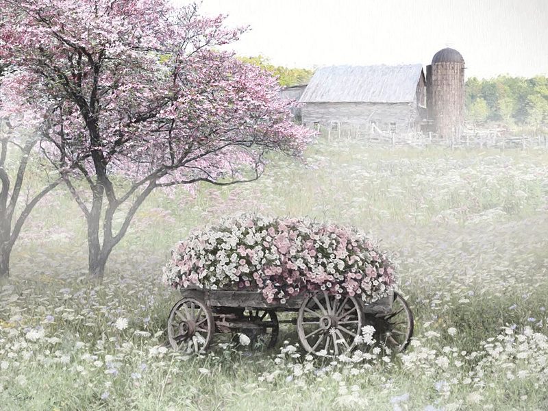 Pink Spring Blossoms art print by Lori Deiter for $57.95 CAD