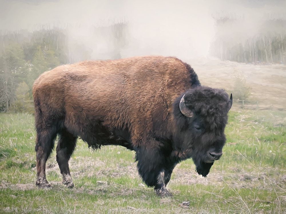 Wilderness Roamer art print by Lori Deiter for $57.95 CAD