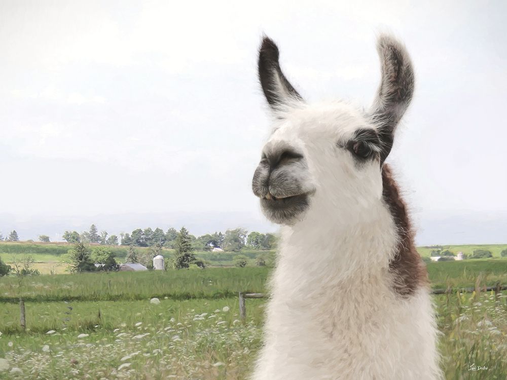 Alpaca Pasture Portrait art print by Lori Deiter for $57.95 CAD