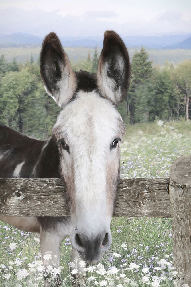 Curious Donkey art print by Lori Deiter for $57.95 CAD