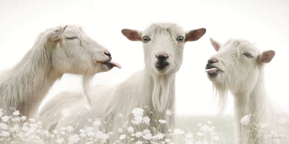 Barnyard Bad Boys art print by Lori Deiter for $57.95 CAD