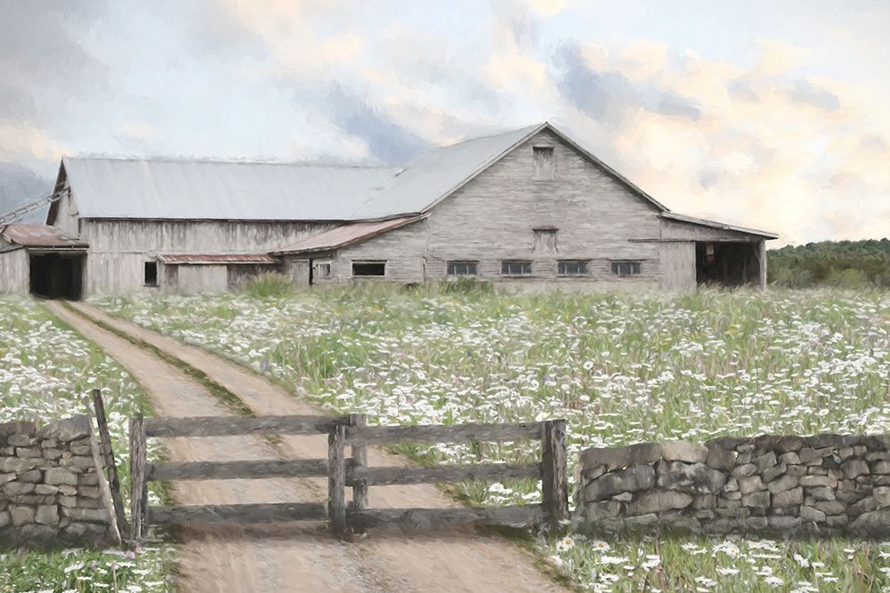 Wild Daisies art print by Lori Deiter for $57.95 CAD