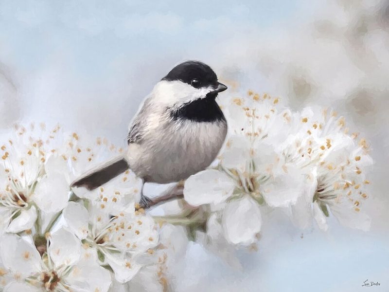 Chickadees Perch I art print by Lori Deiter for $57.95 CAD