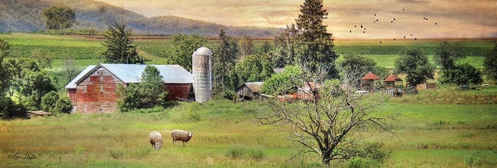 Grazing Sheet art print by Lori Deiter for $57.95 CAD