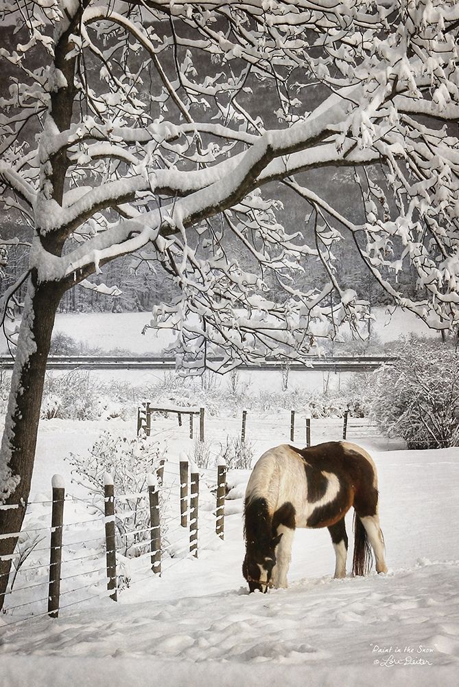 Paint in the Snow art print by Lori Deiter for $57.95 CAD