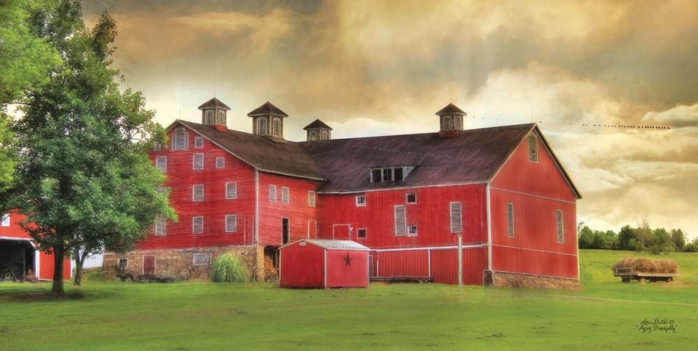 Aging Gracefully art print by Lori Deiter for $57.95 CAD
