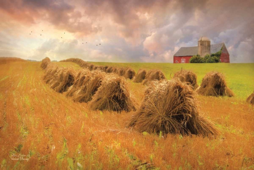 Harvest Blessings art print by Lori Deiter for $57.95 CAD