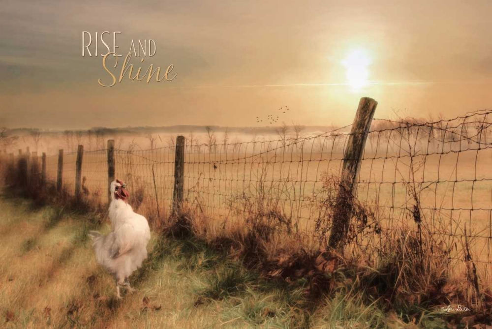 Rise and Shine art print by Lori Deiter for $57.95 CAD