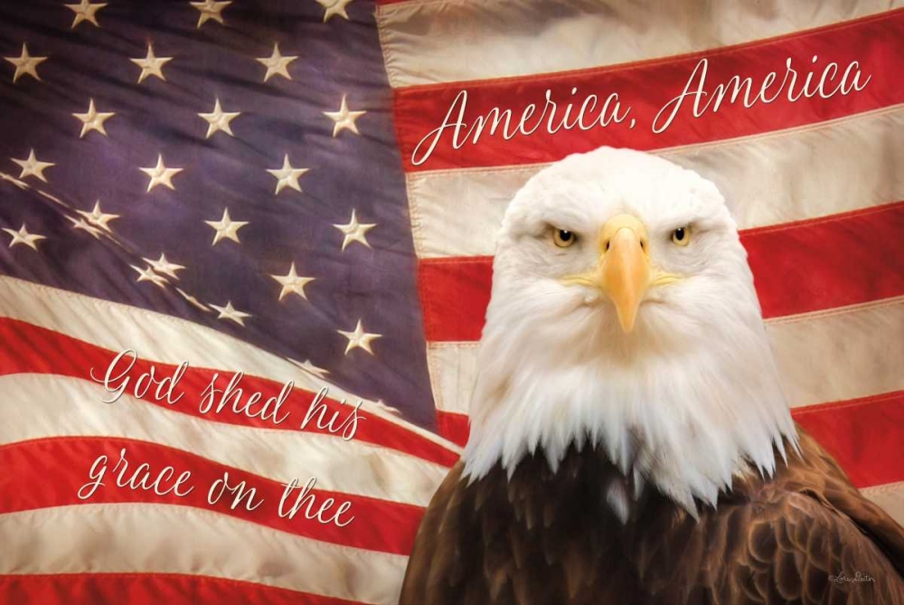 American Eagle Flag art print by Lori Deiter for $57.95 CAD
