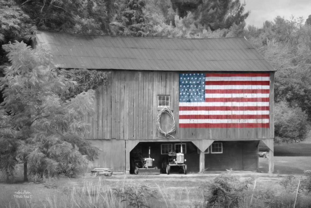 Patriotic Farm I art print by Lori Deiter for $57.95 CAD