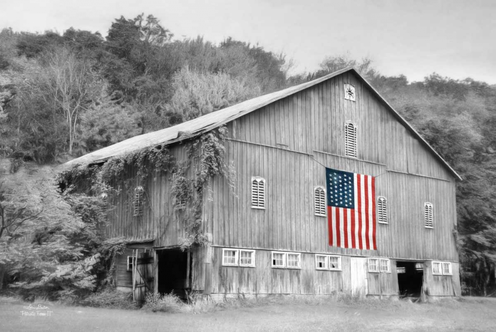 Patriotic Farm II art print by Lori Deiter for $57.95 CAD
