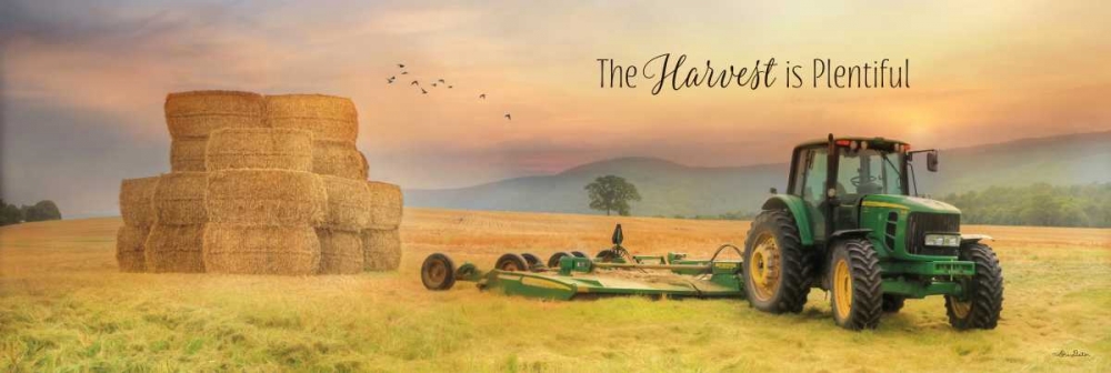 The Harvest is Plentiful art print by Lori Deiter for $57.95 CAD
