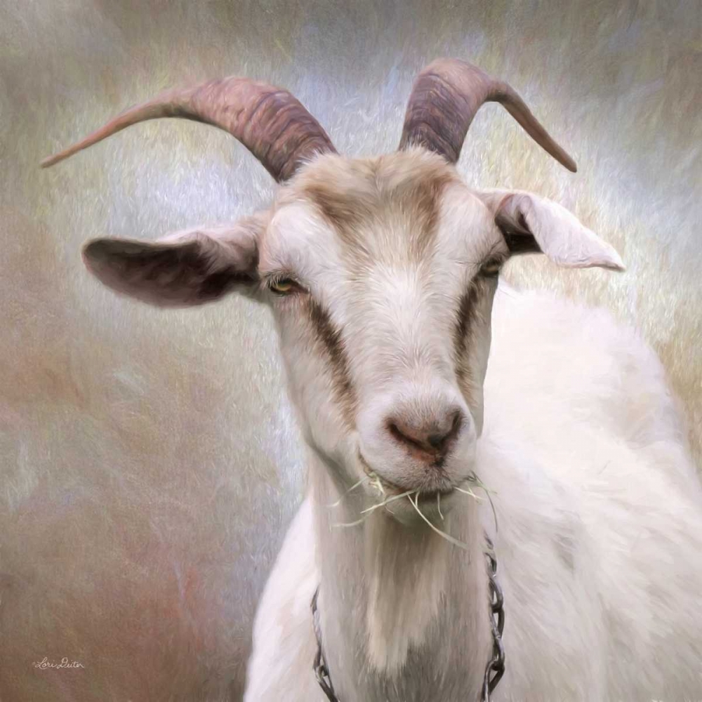 Up Close Goat art print by Lori Deiter for $57.95 CAD