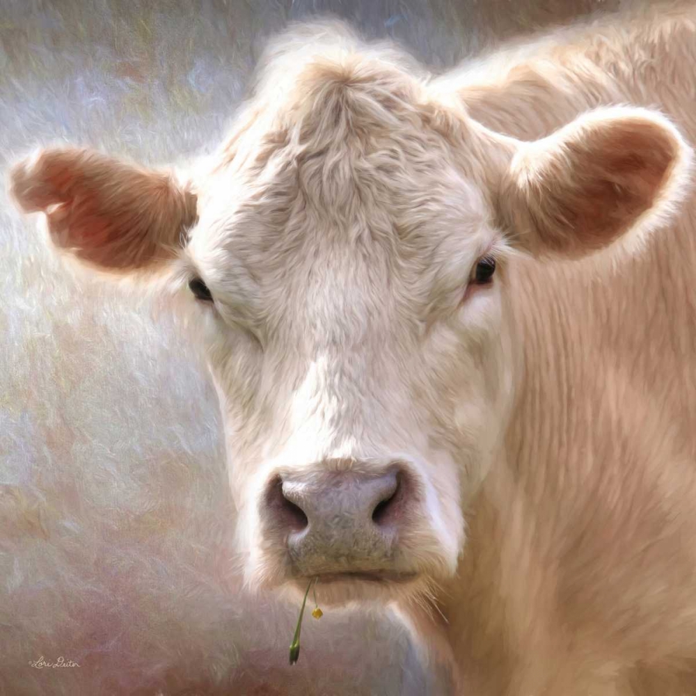 Up Close Cow art print by Lori Deiter for $57.95 CAD